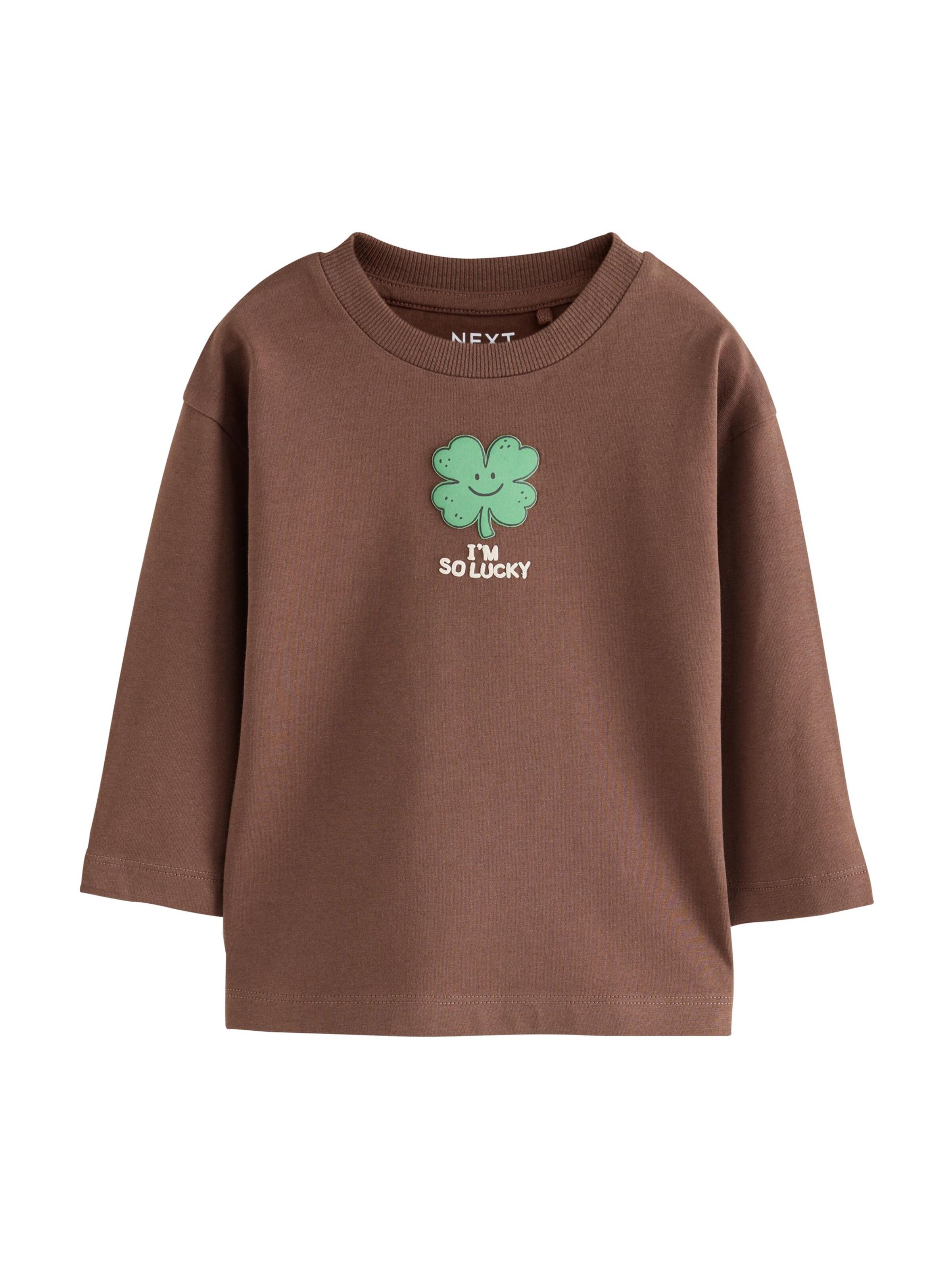 T-Shirt Next en marron : devant