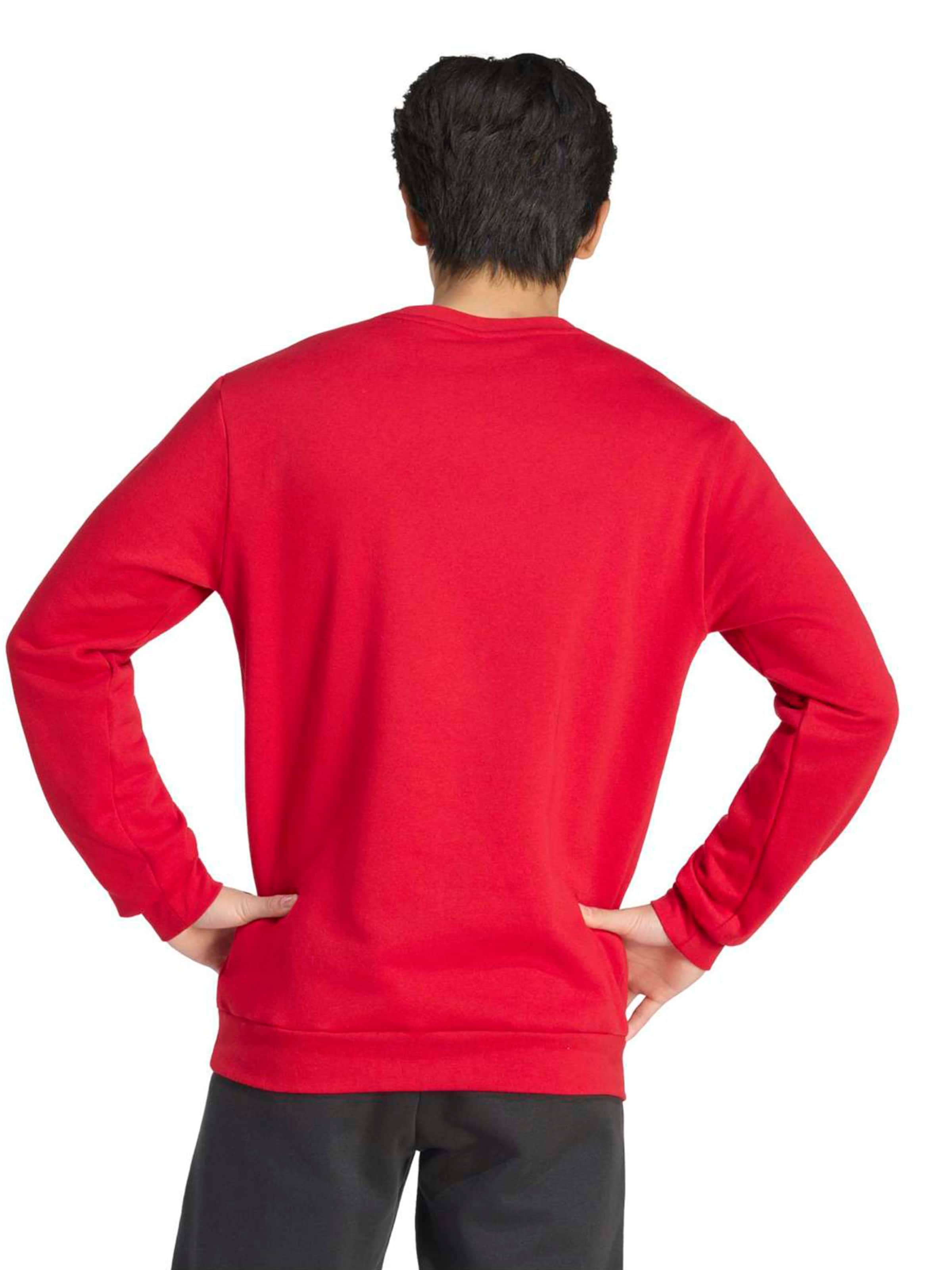 ADIDAS PERFORMANCE Športová mikina 'ENT26' - Červená