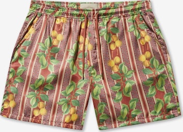 Regular Pantalon 'Fruits Cuban' Pas De Monaco en marron : devant