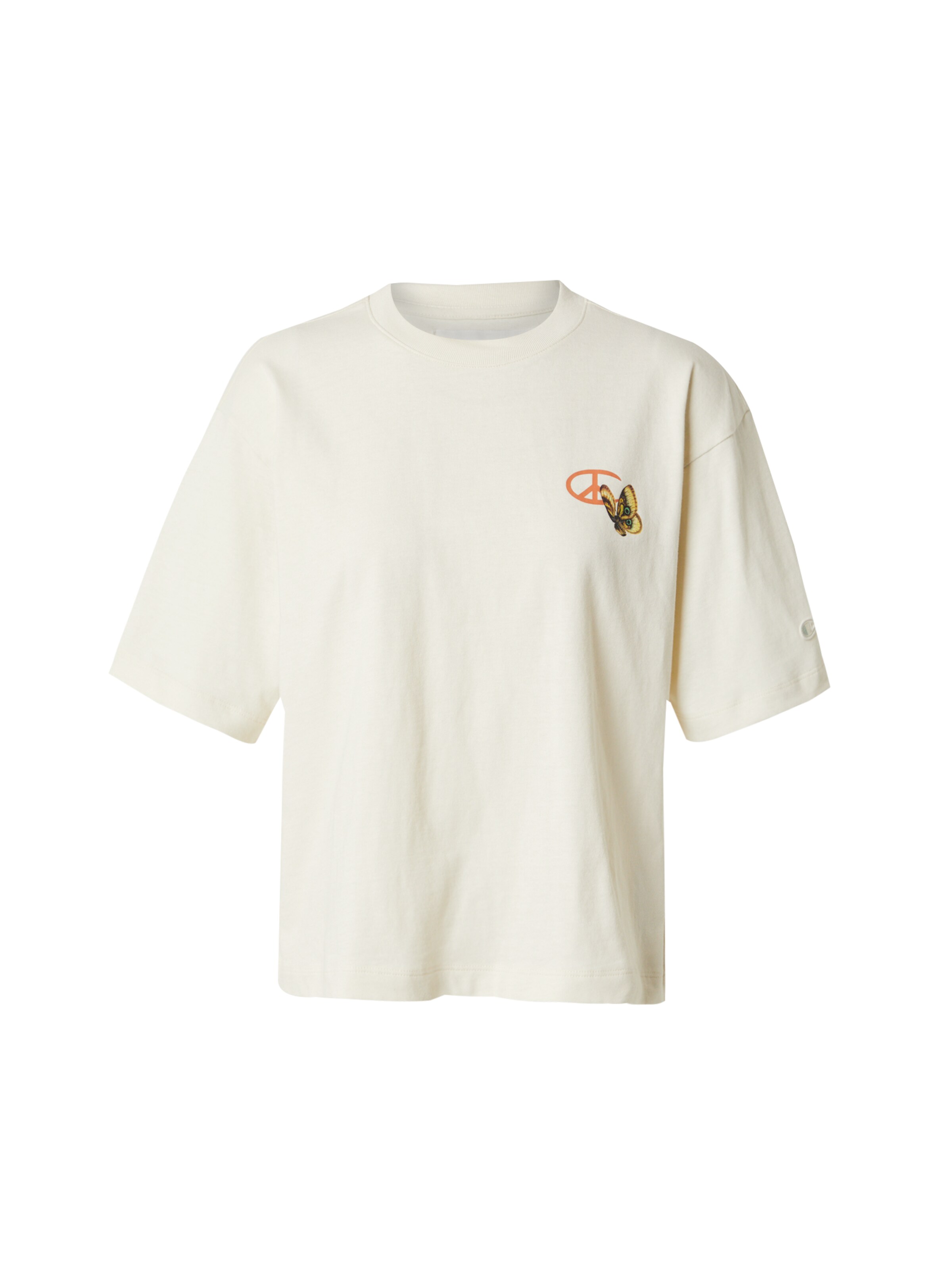 Champion Authentic Athletic Apparel Shirt in Grey: front