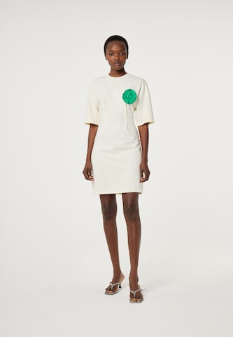 Fabienne Chapot Jurk in Beige: voorkant