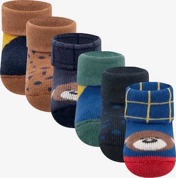 mėlyna EWERS Kojinės: priekis