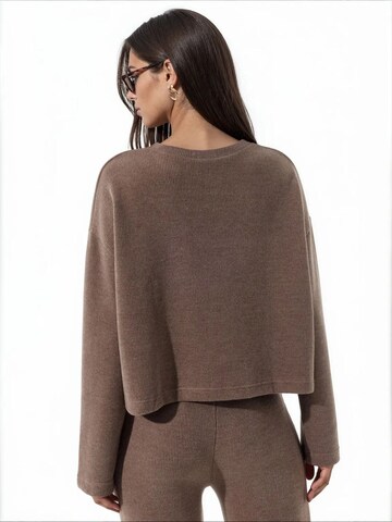 Busem Pulover 'Pullover' | rjava barva