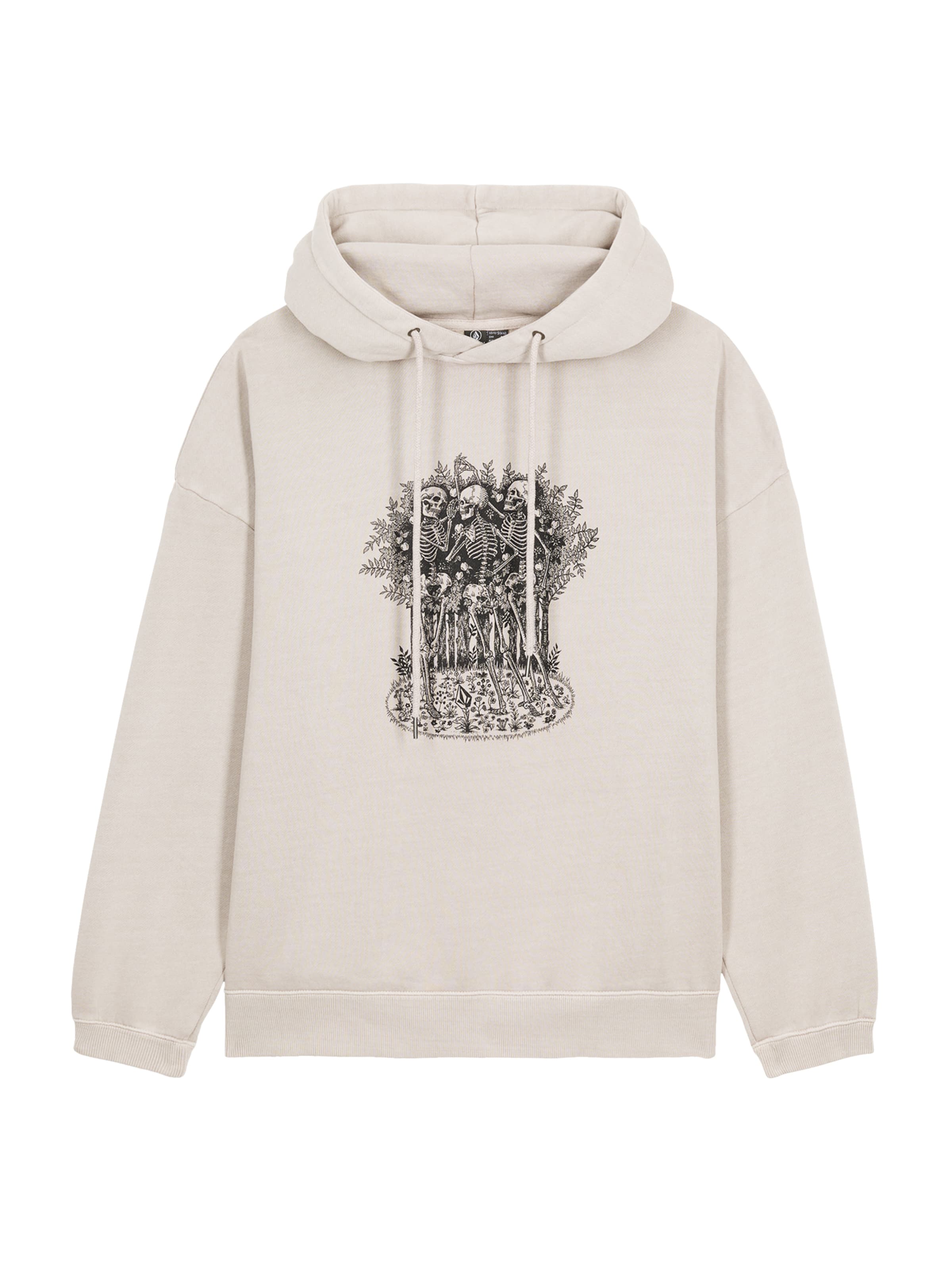 Volcom Hoodie 'Radicla Daze' in Grau: Vorderseite