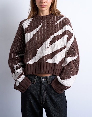 TOPSHOP Свитер 'TSELINOR' в Коричневый: спереди