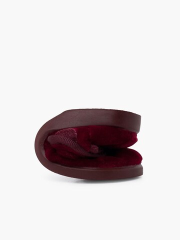 Pisamonas Ballerina‌‌‌‌‌‌‌‌ in Rot