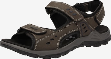 SIOUX Sandalen 'Oneglio-702' in Bruin: voorkant