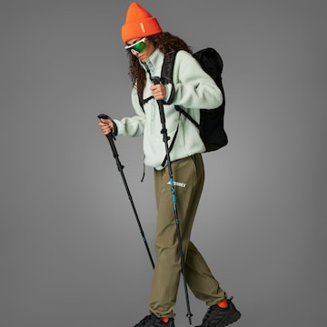 Regular Pantalon outdoor 'Lifeflex' ADIDAS TERREX en vert