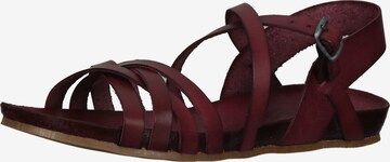 COSMOS COMFORT Sandale in Rot: predná strana