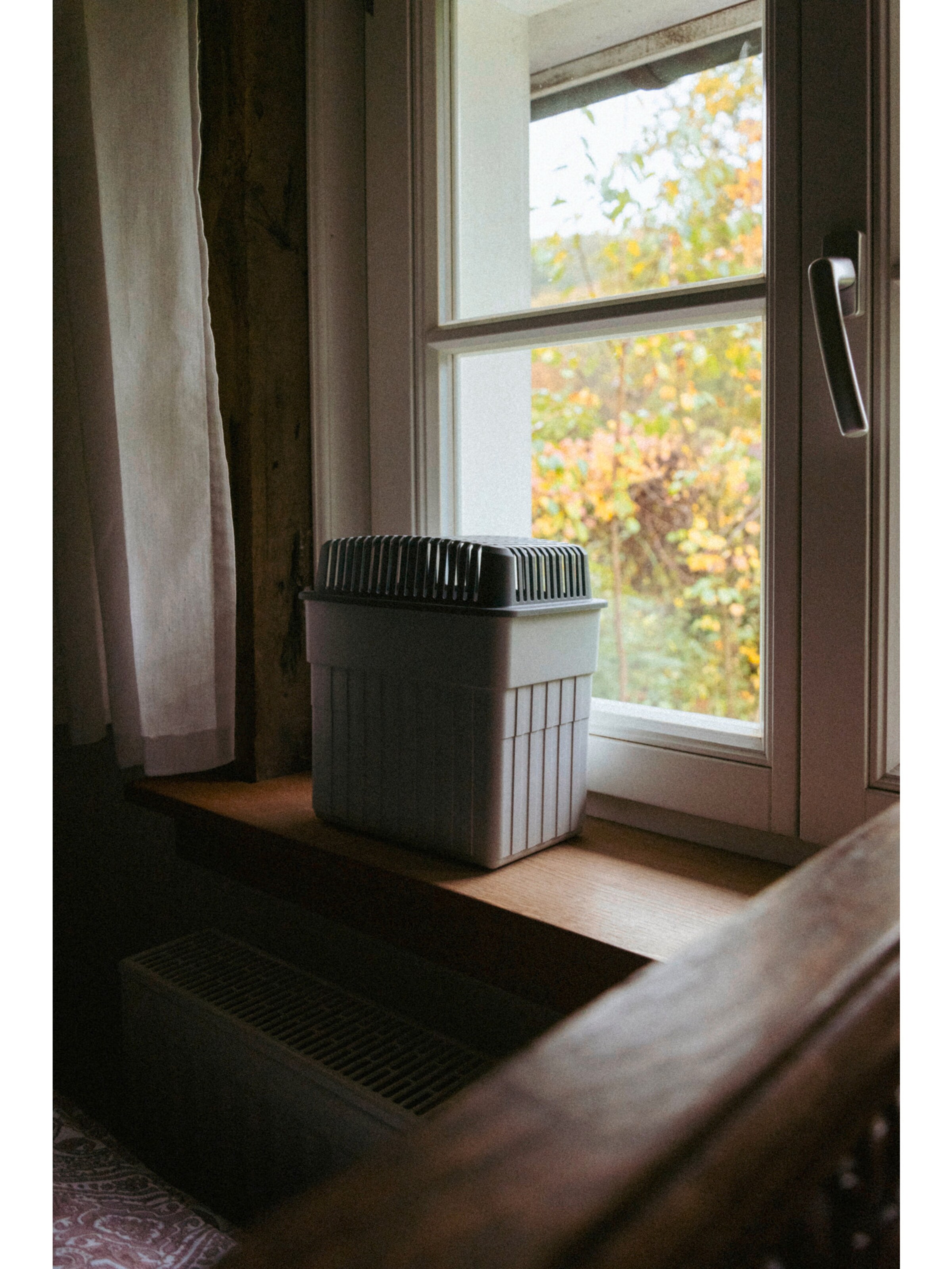 Wenko Raumentfeuchter in Grau