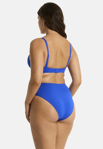 SEA LEVEL Push-up Bikinitop 'Essentials' in Blau