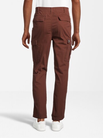 Regular Pantalon cargo AÉROPOSTALE en marron