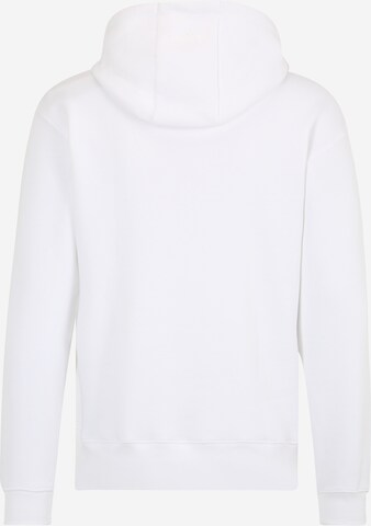 Sweat de sport 'All Szn Fleece Graphic' ADIDAS SPORTSWEAR en blanc