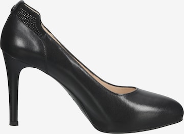 Nero Giardini Pumps in Schwarz