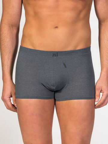 zd ZERO DEFECTS - Calzoncillo boxer 'Ikaria Trunk' en gris: frente
