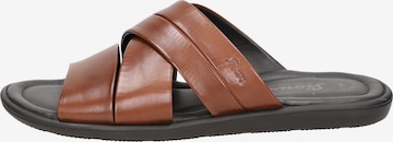 SIOUX Mules 'Milito' in Brown