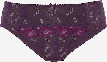 NUANCE - Cueca em roxo: frente