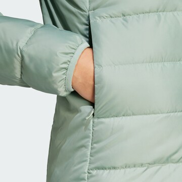 Buy Esprit Green Long Line Padded Coat from Next Lithuania