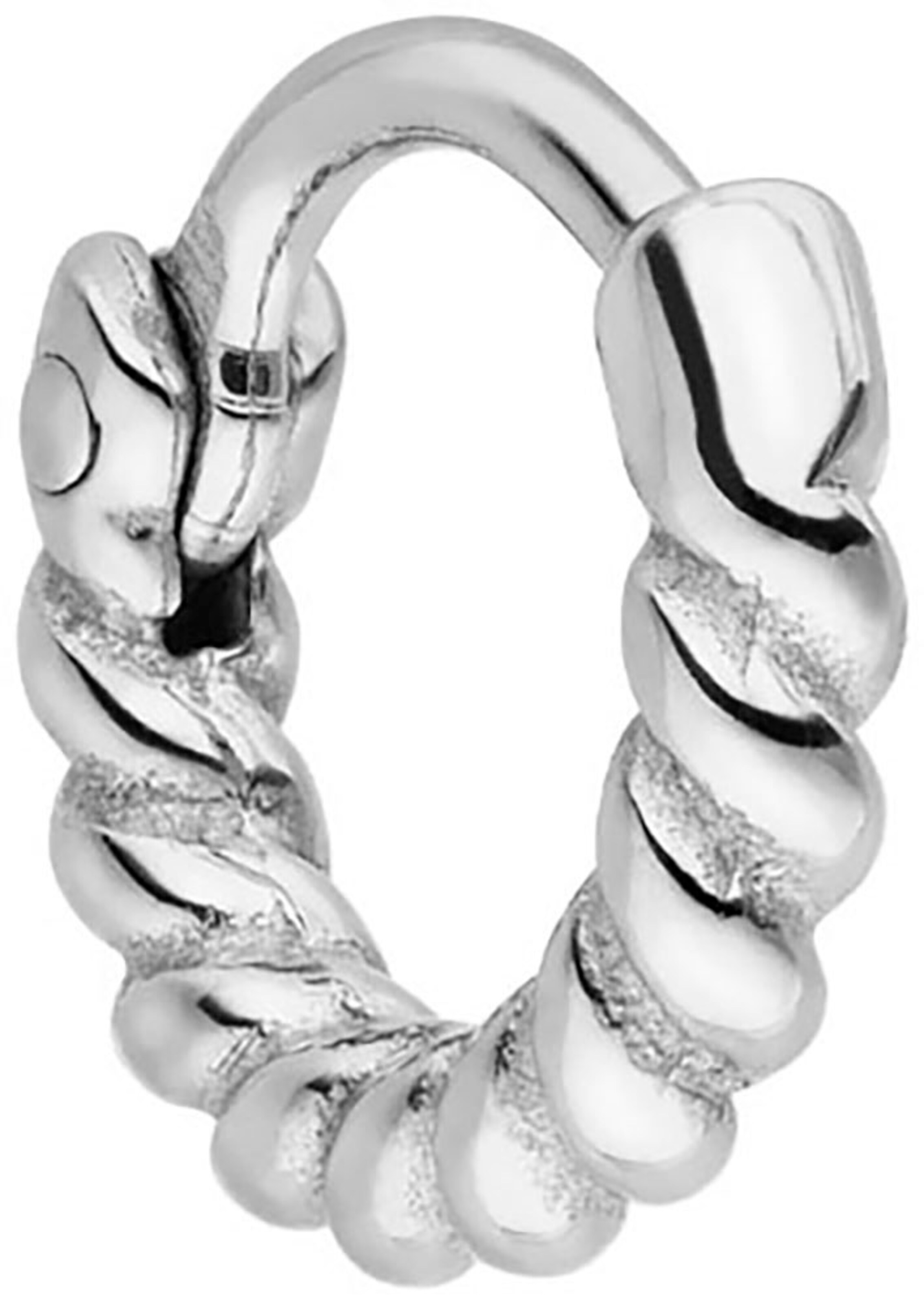 PURELEI Earrings in Silver: front