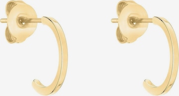 Tamaris Ohrringe in Gold: Vorderseite