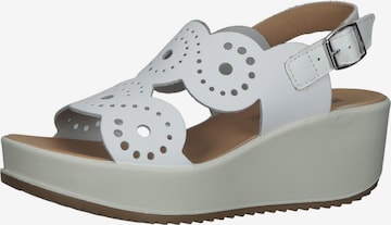 IGI&CO Sandals in White: front