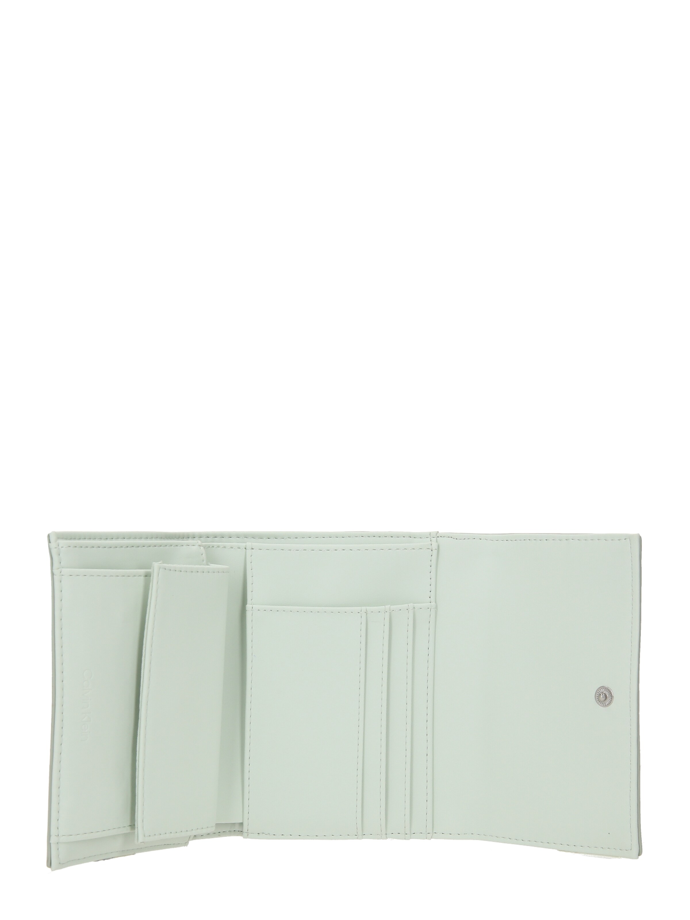 Calvin Klein Wallet in Green