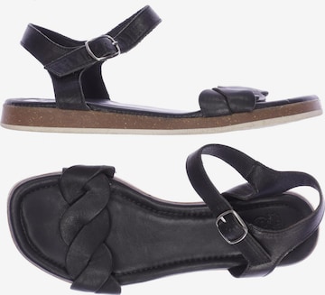 Apple of Eden Sandals & High-Heeled Sandals in 38 in Black: front