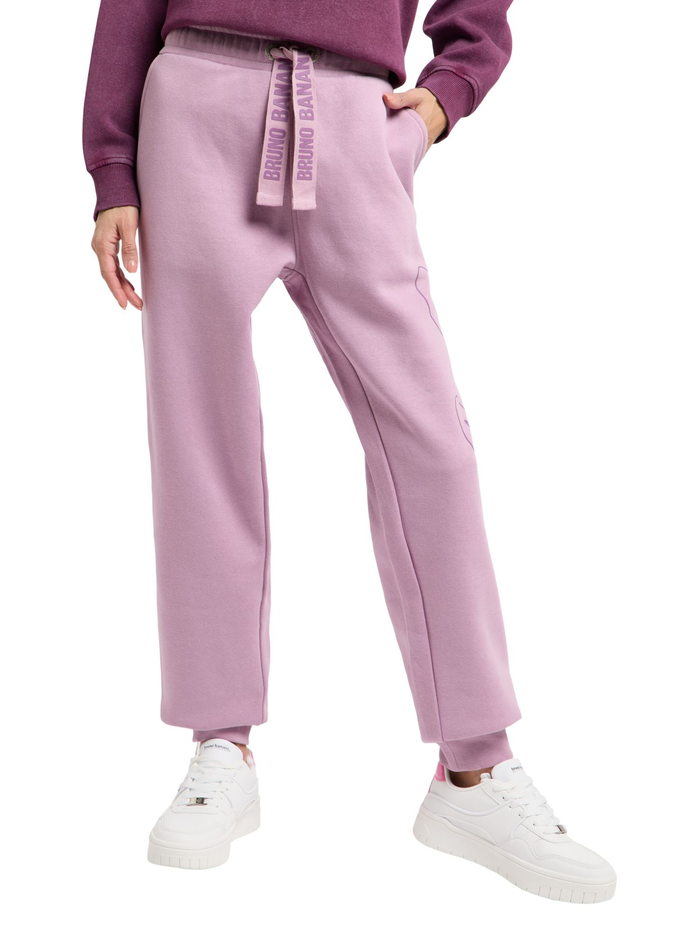 Bruno Banani Regular Trousers ' FREDERICK ' in Purple: front