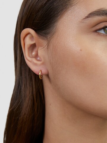 Tamaris Ohrringe in Gold