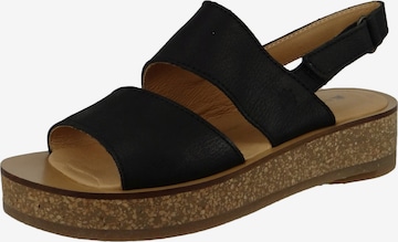 EL NATURALISTA Sandals in Black: front