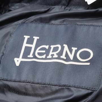 Herno Jacket & Coat in M-L in Blue