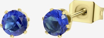 Lucardi Earrings in Blue: front