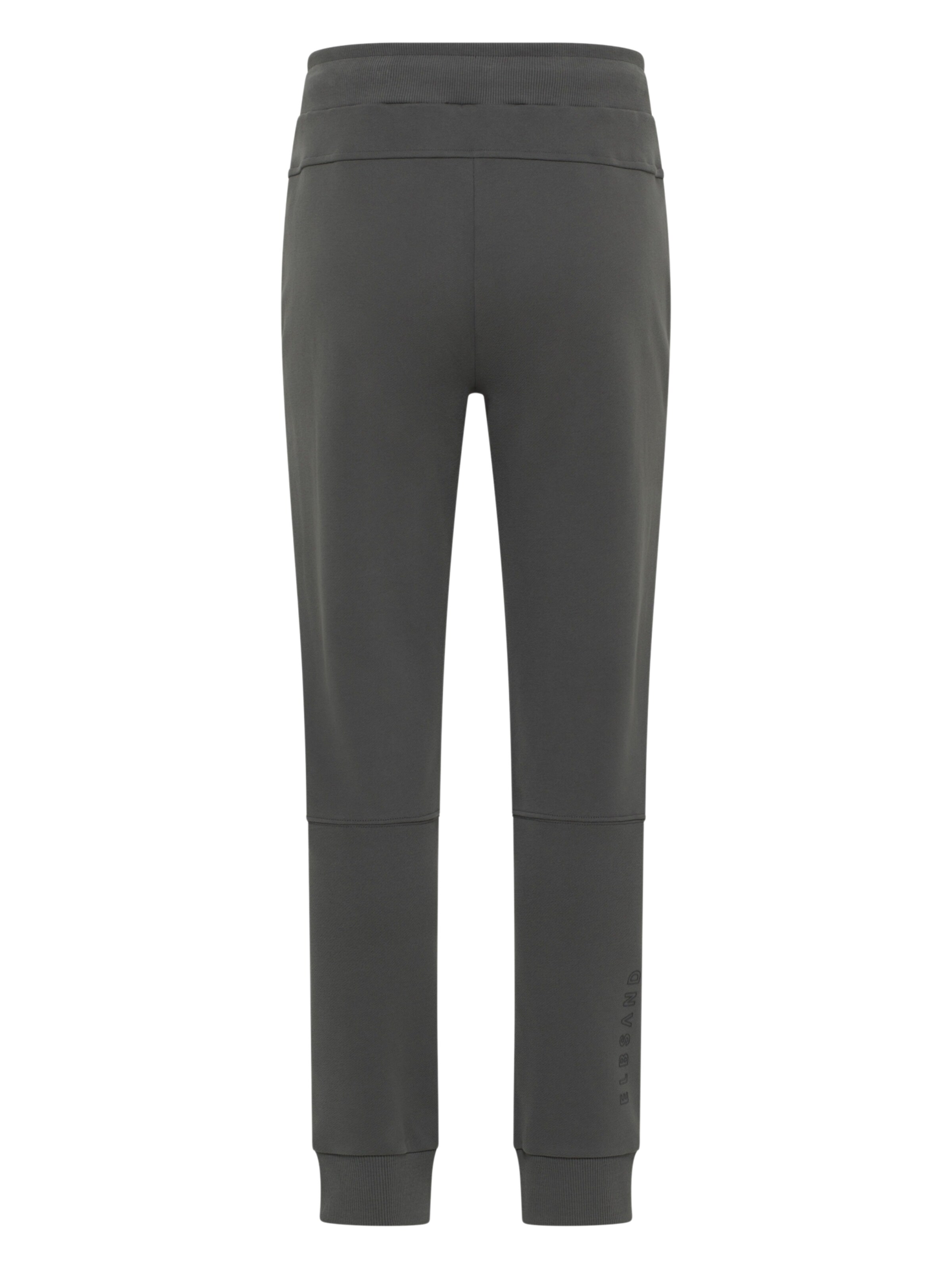 Elbsand regular Sportsbukser 'Jarin' i grå