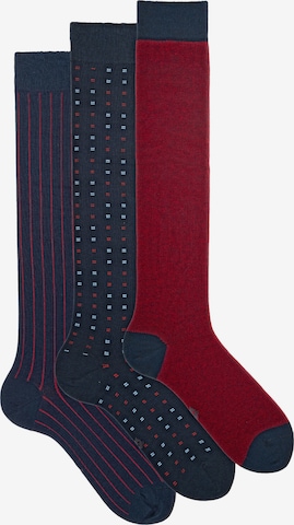 Gambaletto '3 Pack Calze Lunghe Fantasia - Confezione Regalo - Ciocca' di Ciocca in colori misti: frontale
