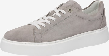 Baskets basses 'Tils' SIOUX en gris : devant