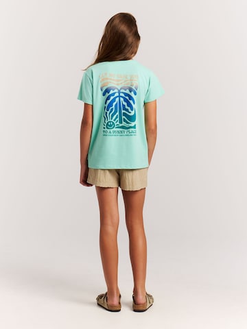 PROTEST Shirt 'PRTRoxo JR' in Green