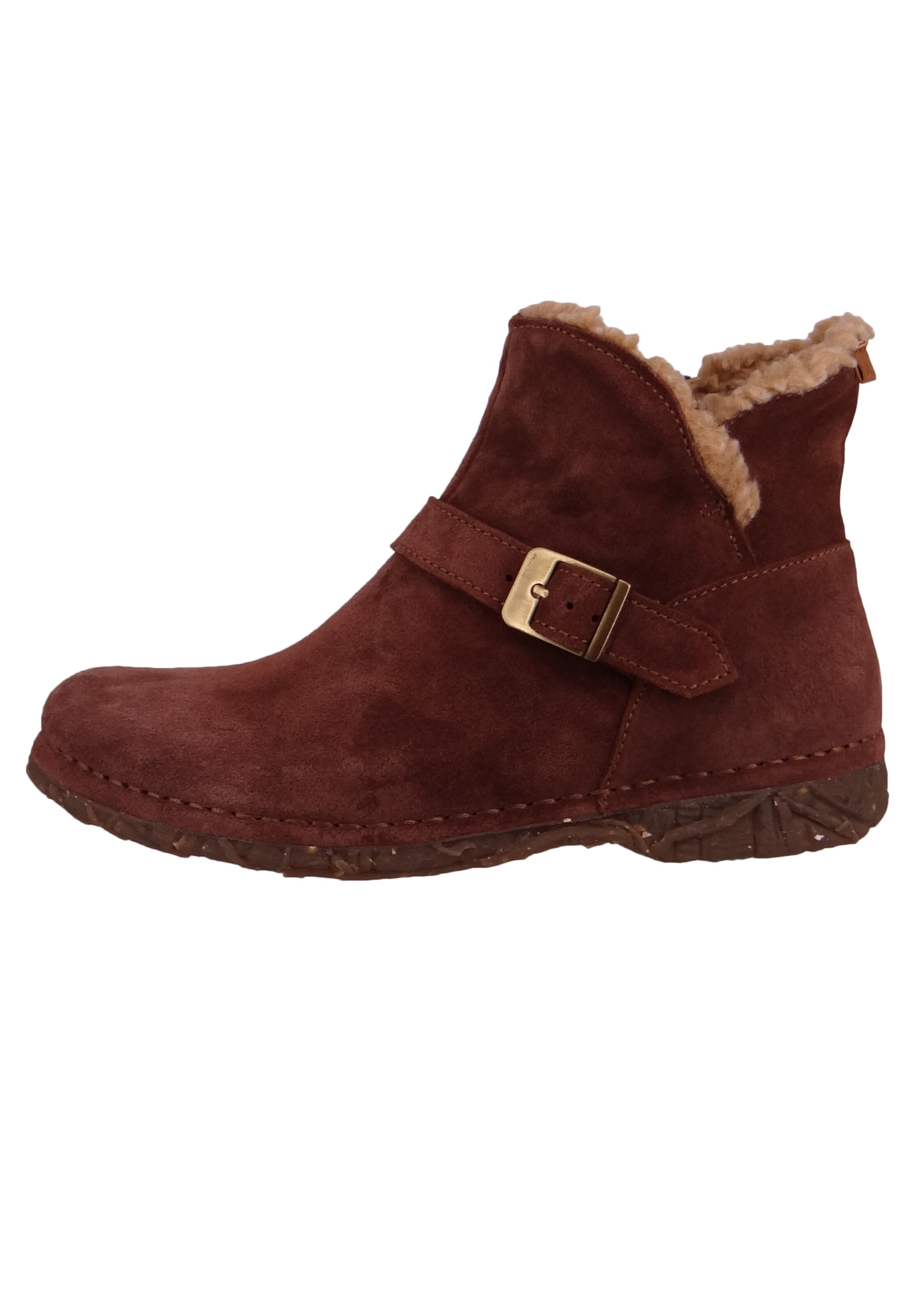 EL NATURALISTA Enkellaarsje in Bruin