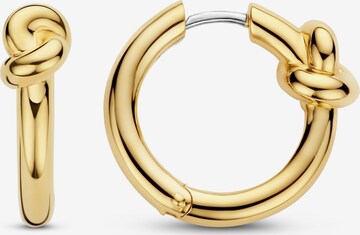 Ti Sento Milano Earrings in Gold: front