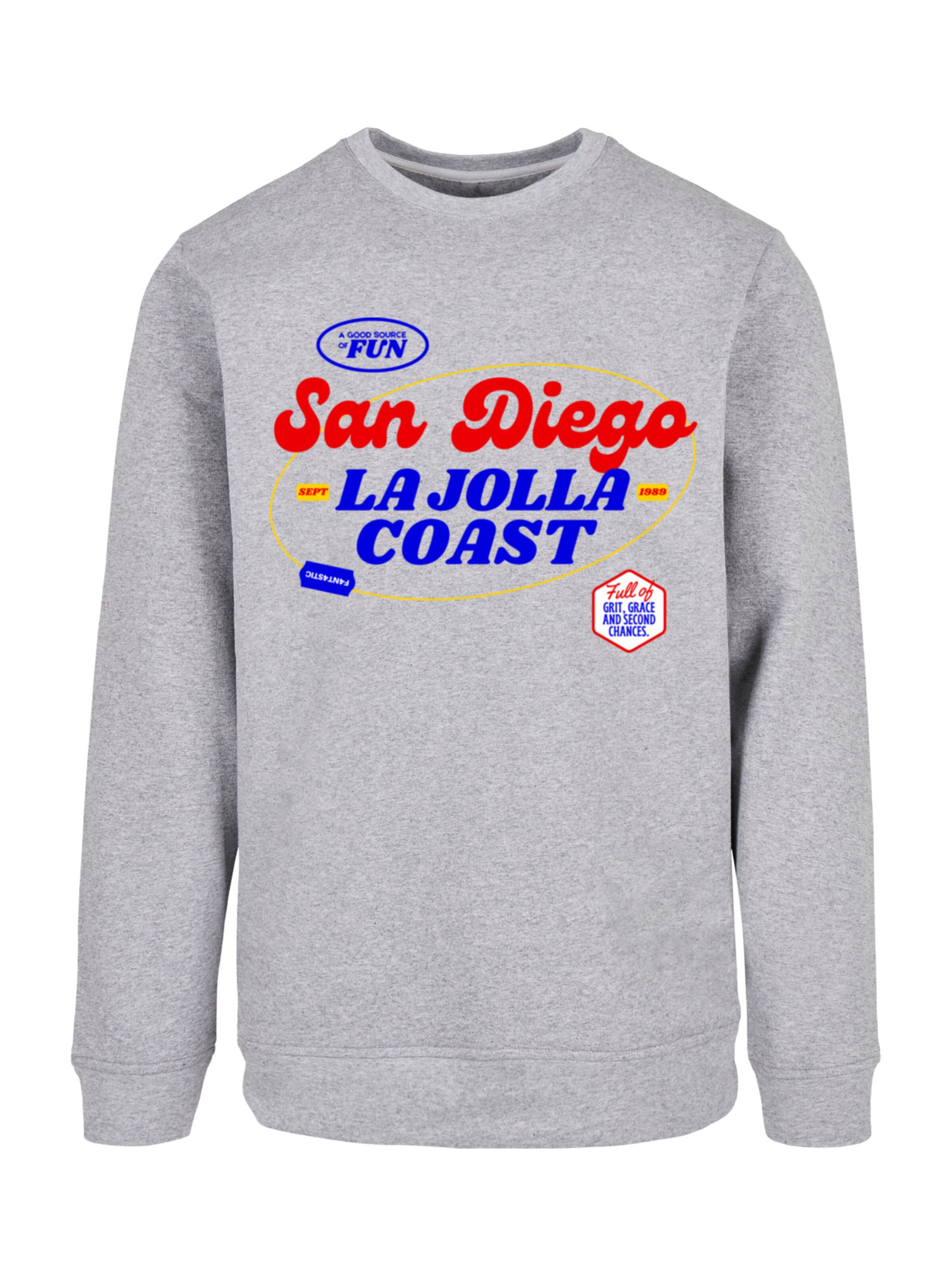 Sweat-shirt 'San Diego' F4NT4STIC en gris : devant