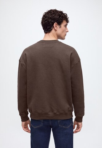 HOLLISTER Sweatshirt in Braun