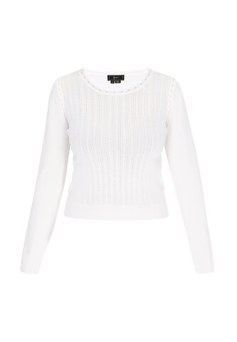 faina - Jersey en blanco: frente