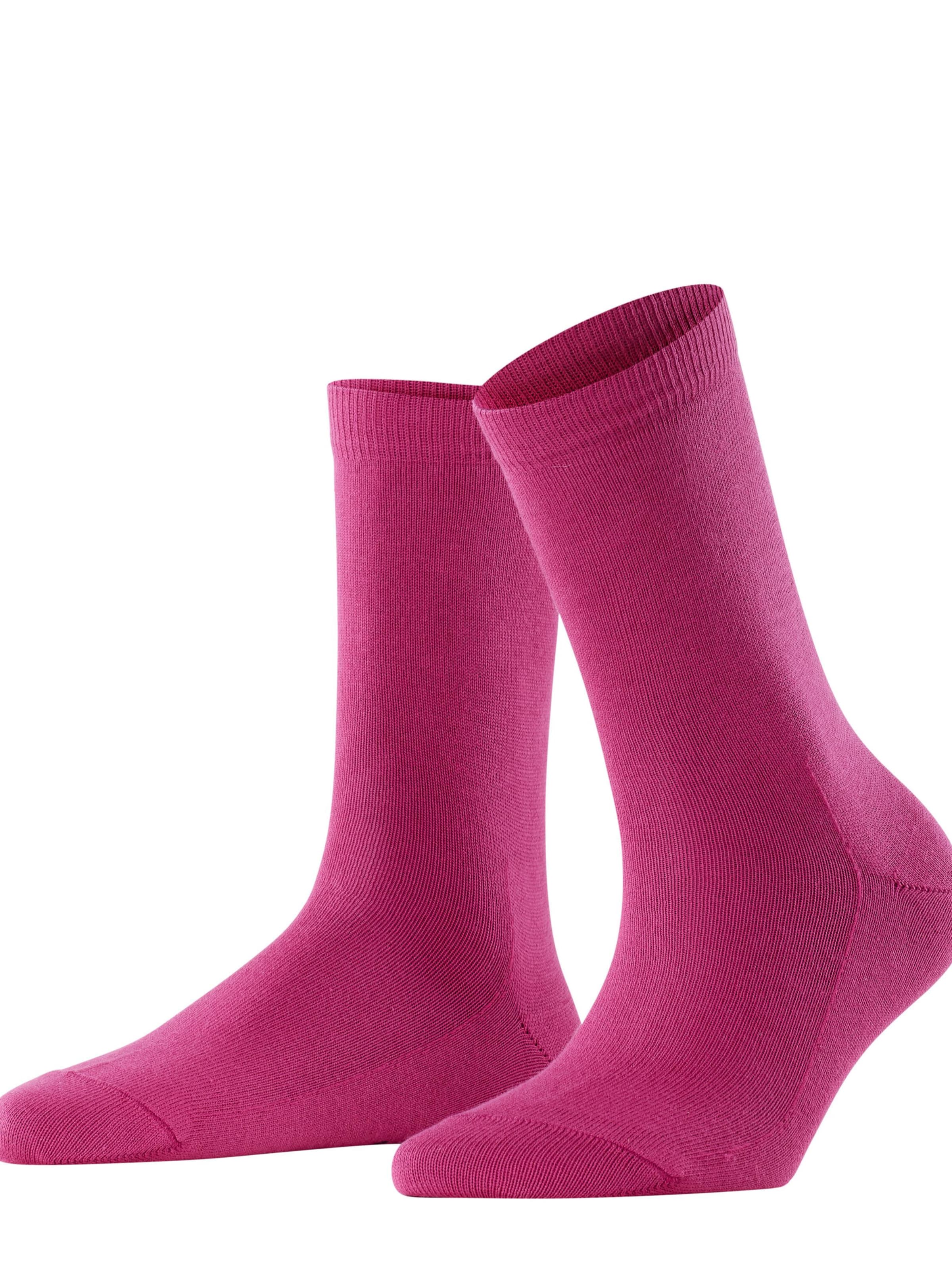 FALKE Socks 'Family' in Purple: front