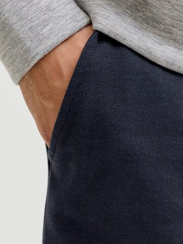 JACK & JONES Regular Hose in Blau