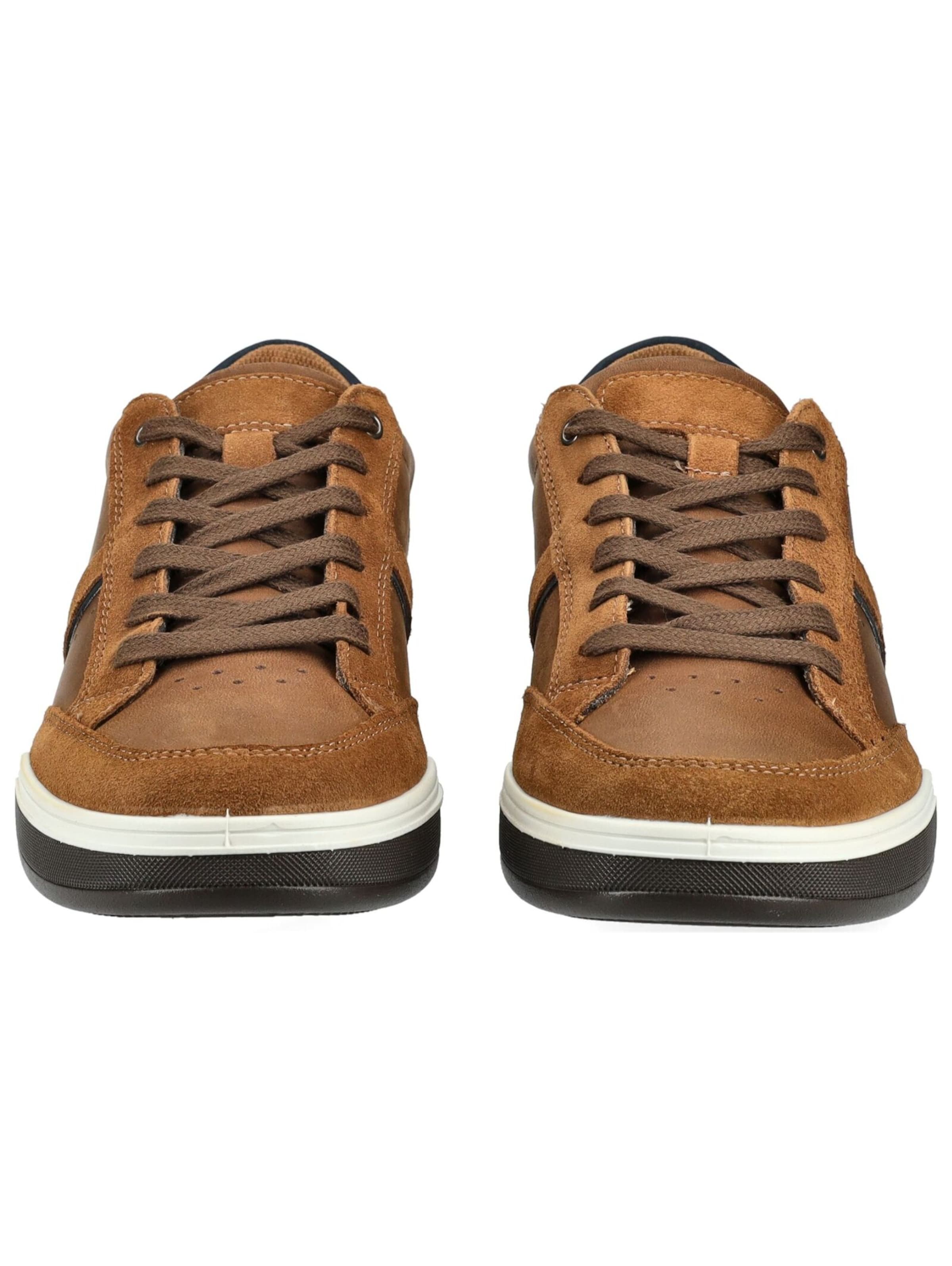 IMAC Platform trainers in Brown