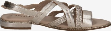 CAPRICE Sandalen met riem in Goud