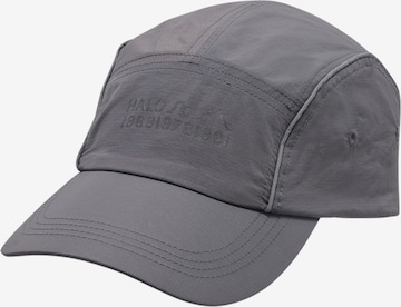 HALO Pet in Grijs: voorkant