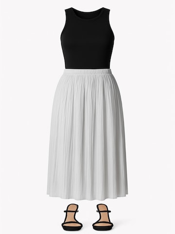 Touche Prive Skirt in Grey: front