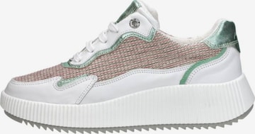 Baskets basses 'Chavi' Palpa en vert : devant