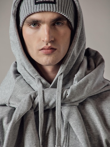 Felpa 'Felpa Felpata con Cappuccio' di OWN Off With Nature in grigio