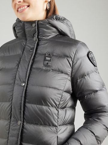 Palton de iarnă de la Blauer.USA pe gri